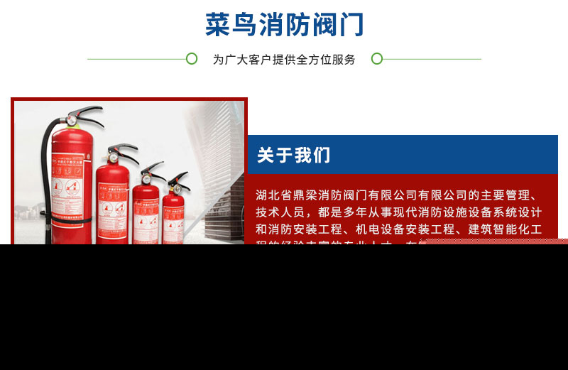 守護(hù)江城安全 帶你了解武漢專業(yè)的滅火器檢修與菜鳥(niǎo)消防器材服務(wù)